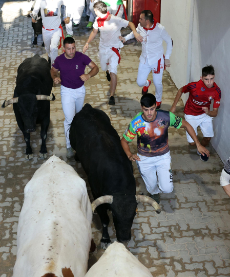 Fotos del octavo encierro de San Fermín 2026 con toros de la ganadería de Jandilla en el callejón.