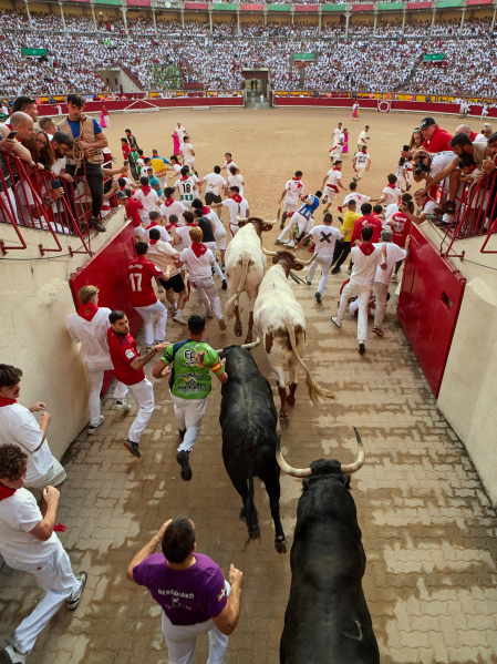 Fotos del octavo encierro de San Fermín 2026 con toros de la ganadería de Jandilla en la bajada al callejón.