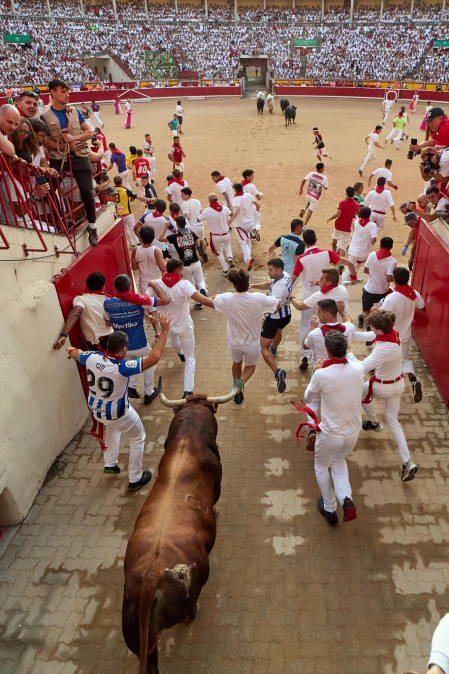 Fotos del octavo encierro de San Fermín 2026 con toros de la ganadería de Jandilla en la bajada al callejón.