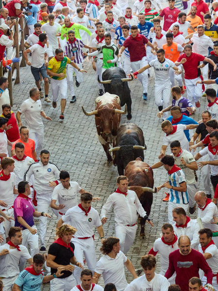 Fotos del octavo encierro de San Fermín 2026 con toros de la ganadería de Jandilla en la bajada al callejón.
