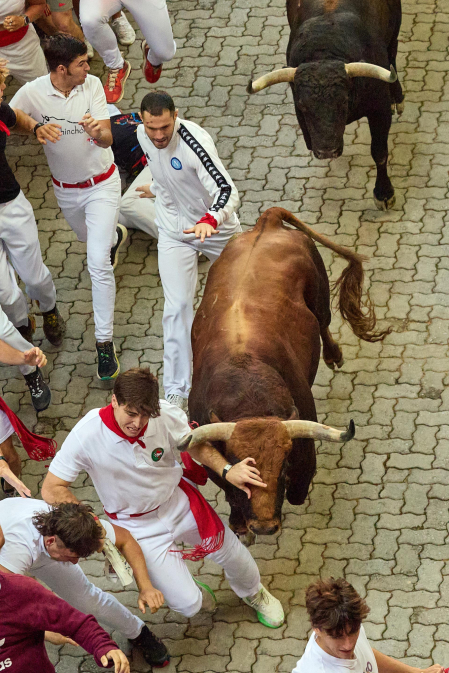 Fotos del octavo encierro de San Fermín 2026 con toros de la ganadería de Jandilla en la bajada al callejón.