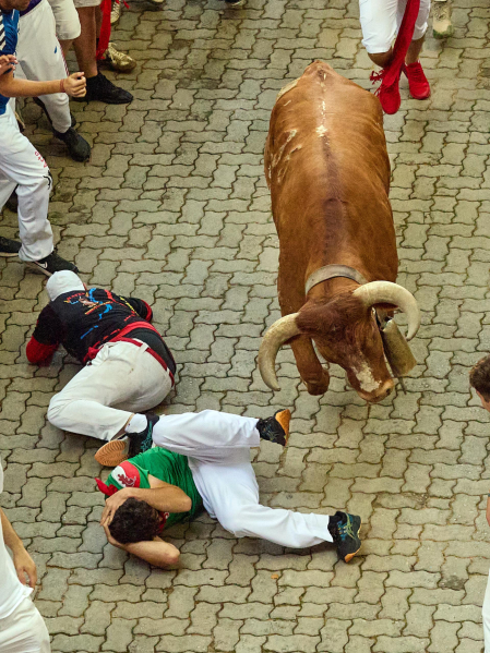 Fotos del octavo encierro de San Fermín 2026 con toros de la ganadería de Jandilla en la bajada al callejón.