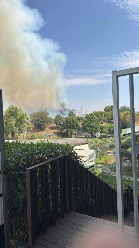 Fotos del incendio en un pinar junto a la autopista A-68 que obligó a desalojar el hotel Villa Castejón