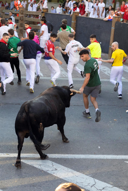 Fotos del cuarto encierro de fiestas de Tudela 2026