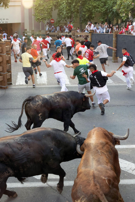 Fotos del último encierro de fiestas de Tudela