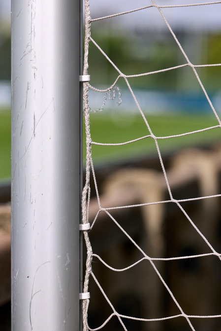Fotos del entrenamiento de Osasuna de este 3 de agosto
