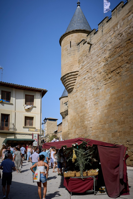 Fotos de la Feria Medieval de Olite 2026