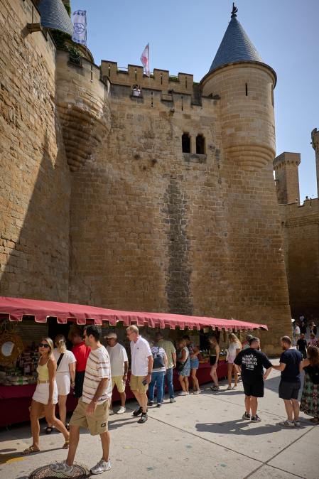 Fotos de la Feria Medieval de Olite 2026