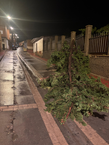 Fotos de la tormenta que ha causado incidencias y ha dejado varias calles anegadas en Milagro