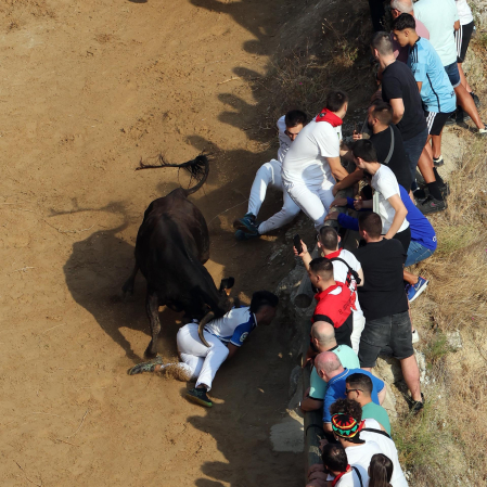 Fotos del primer encierro del Pilón de Falces 2026