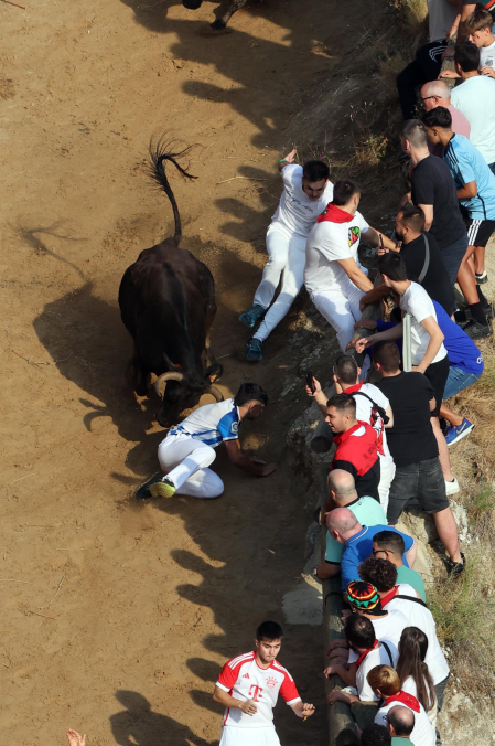 Fotos del primer encierro del Pilón de Falces 2026
