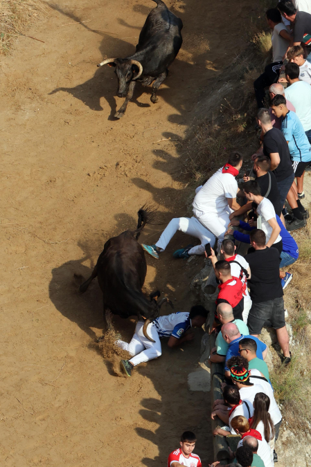 Fotos del primer encierro del Pilón de Falces 2026