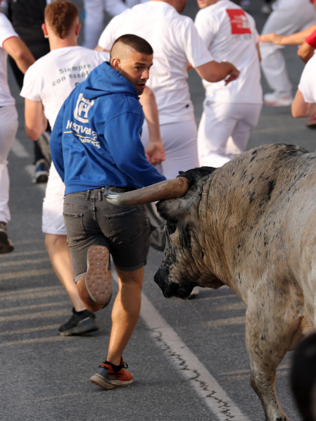 Fotos del segundo encierro de fiestas de Tafalla 2026