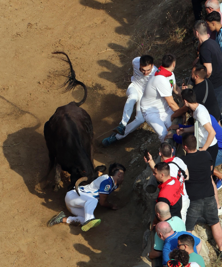 Fotos del primer encierro del Pilón de Falces 2026