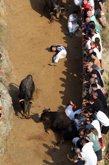 Fotos del primer encierro del Pilón de Falces 2026