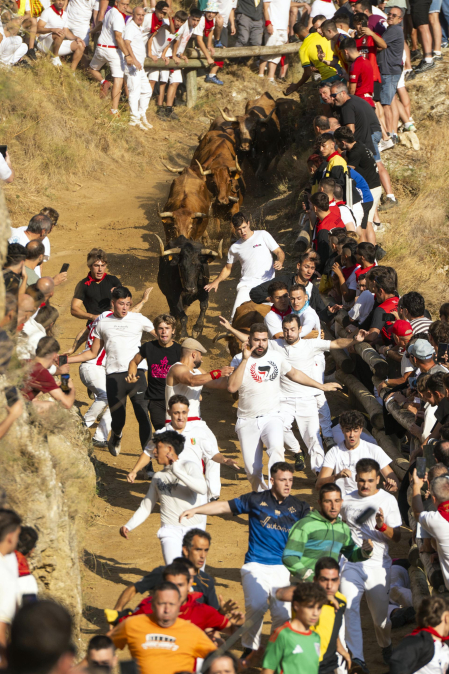 Fotos del segundo encierro del Pilón de Falces 2026