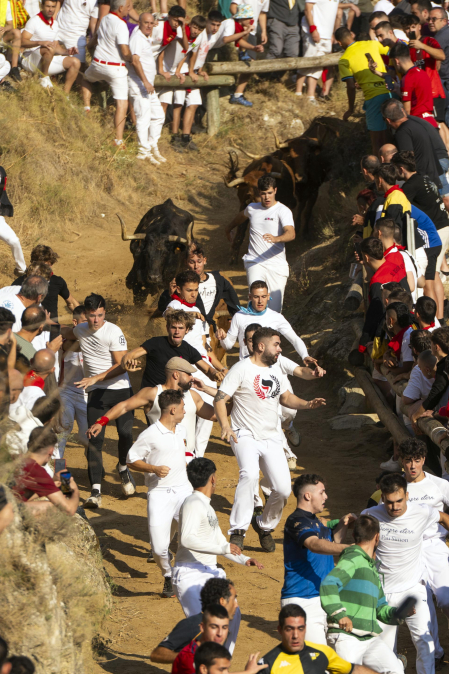 Fotos del segundo encierro del Pilón de Falces 2026