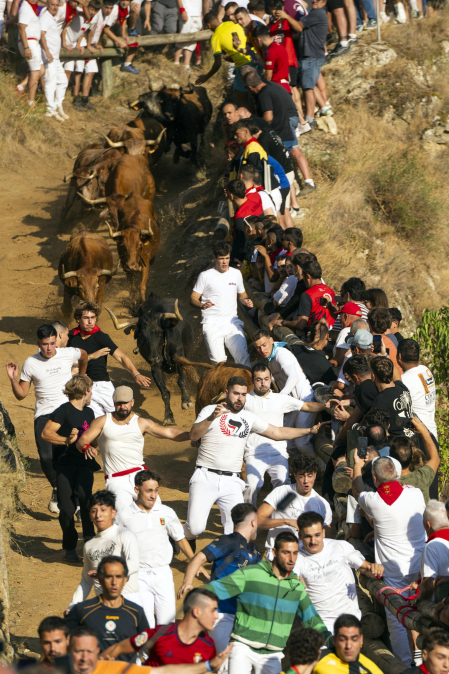 Fotos del segundo encierro del Pilón de Falces 2026