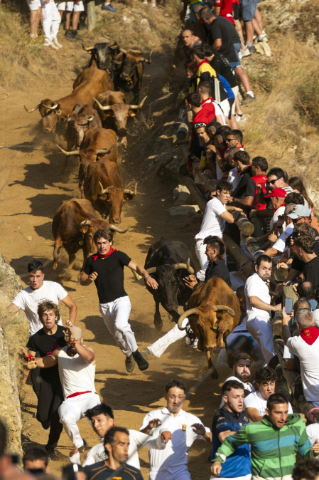 Fotos del segundo encierro del Pilón de Falces 2026
