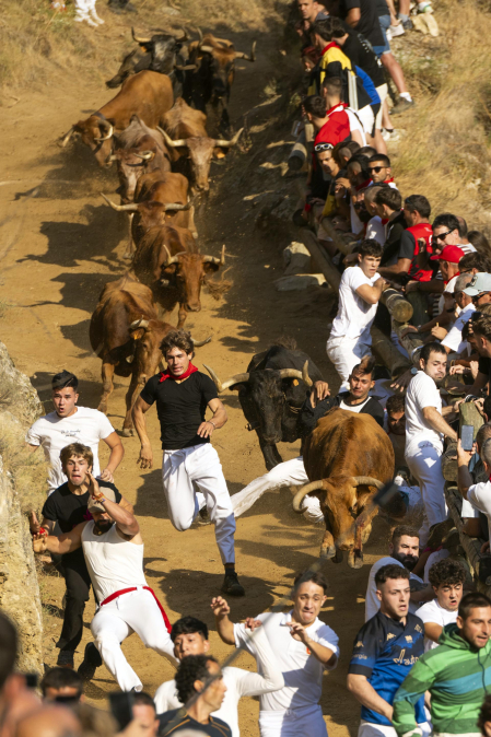 Fotos del segundo encierro del Pilón de Falces 2026