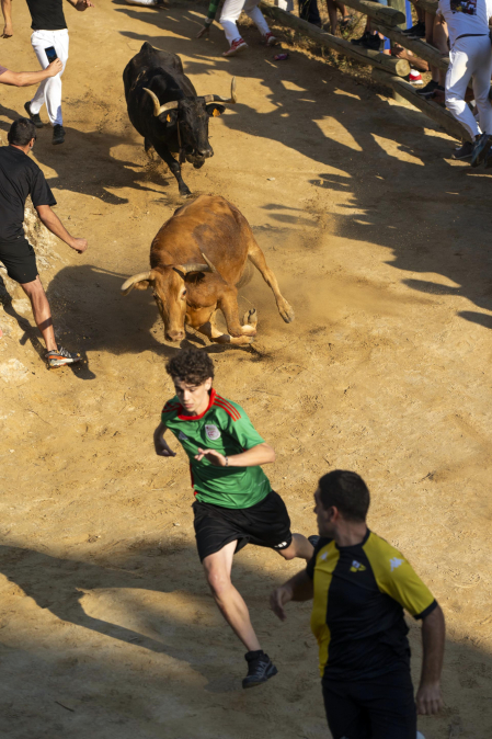 Fotos del segundo encierro del Pilón de Falces 2026