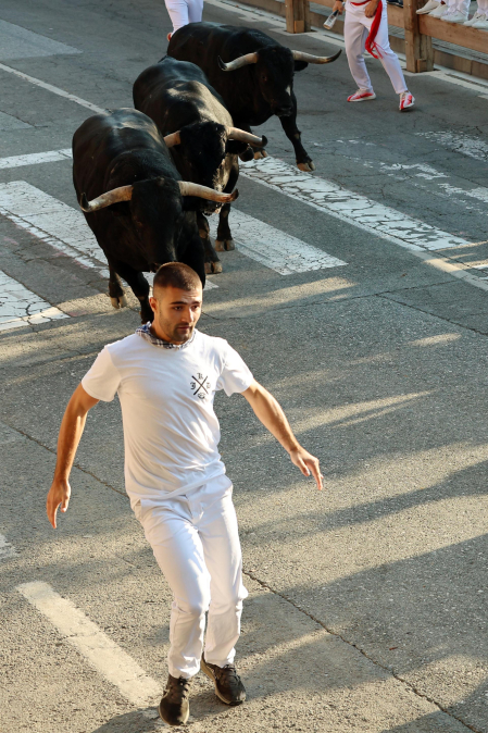 Fotos del tercer encierro de fiestas de Tafalla