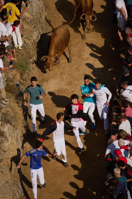Fotos del tercer encierro del Pilón en Falces 2026