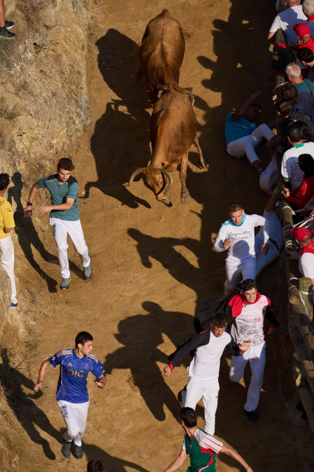 Fotos del tercer encierro del Pilón en Falces 2026