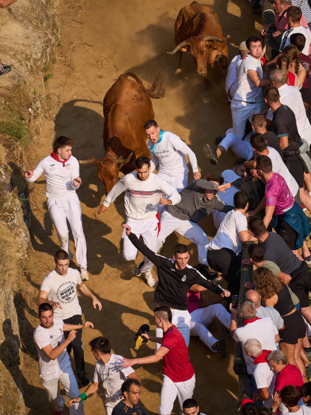 Fotos del cuarto encierro del Pilón 2026