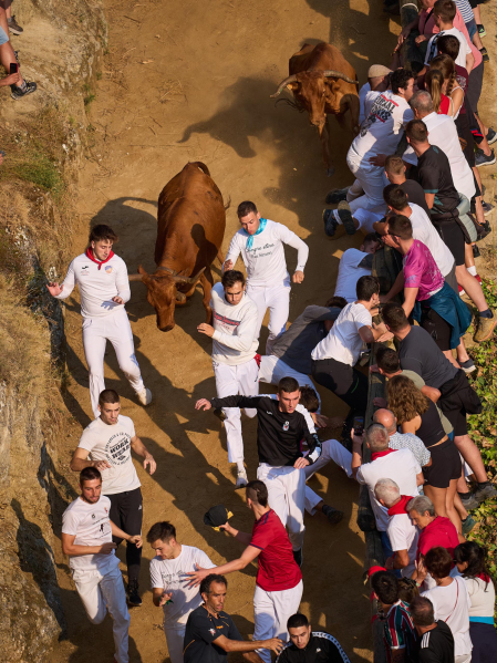 Fotos del cuarto encierro del Pilón 2026