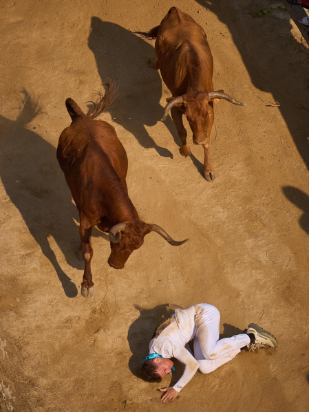 Fotos del cuarto encierro del Pilón 2026