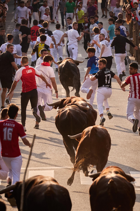Fotos del sexto y último encierro de Tafalla 2026
