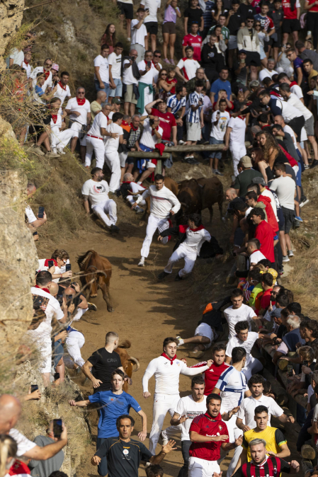 Fotos del sexto encierro del Pilón de Falces 2026