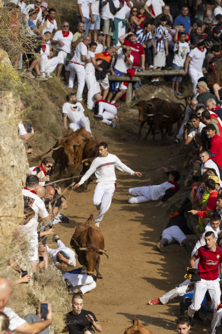 Fotos del sexto encierro del Pilón de Falces 2026