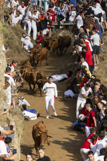Fotos del sexto encierro del Pilón de Falces 2026