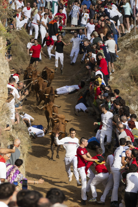 Fotos del sexto encierro del Pilón de Falces 2026