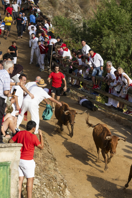 Fotos del sexto encierro del Pilón de Falces 2026