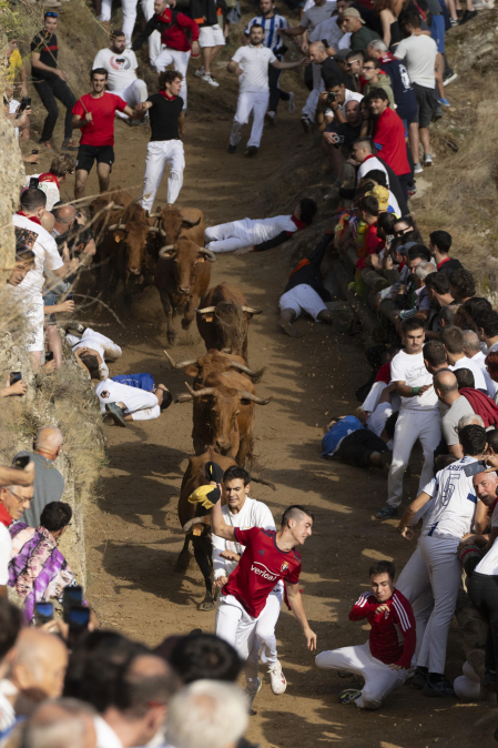 Fotos del sexto encierro del Pilón de Falces 2026
