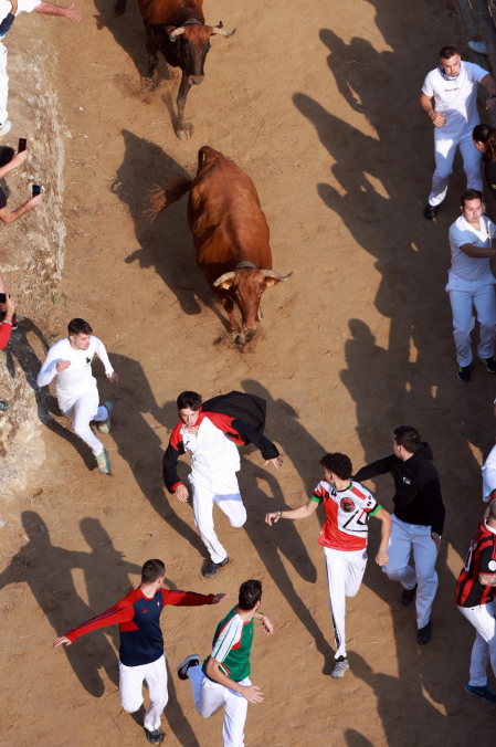 séptimo encierro del Pilón de Falces 2026.