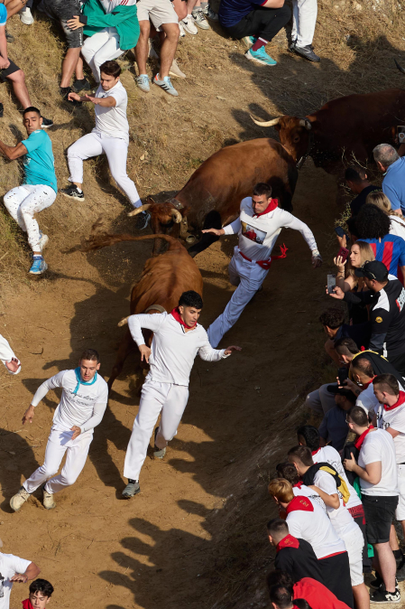 séptimo encierro del Pilón de Falces 2026
