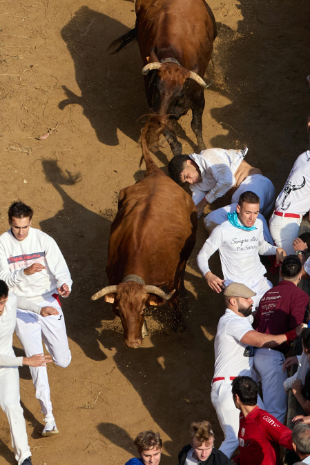 séptimo encierro del Pilón de Falces 2026