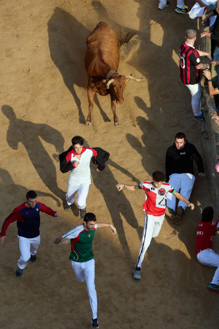 séptimo encierro del Pilón de Falces 2026