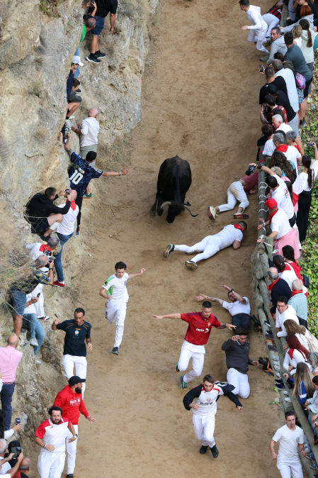 Octavo encierro del pilón de Falces