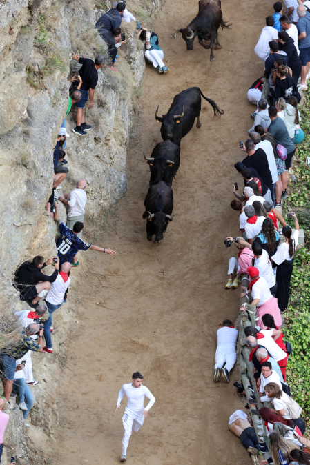 Octavo encierro del pilón de Falces