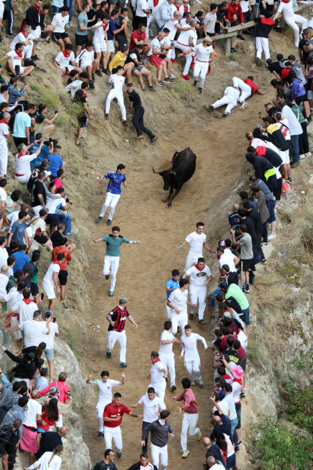 Octavo encierro del pilón de Falces