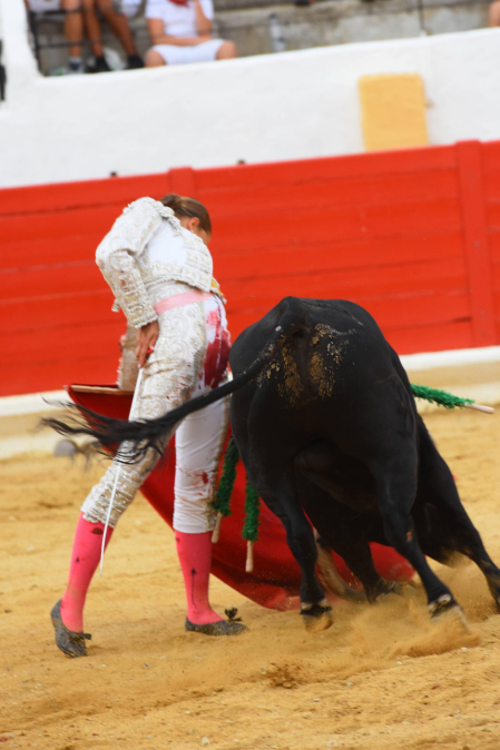 Fotos de la novillada del 1 de septiembre en Peralta