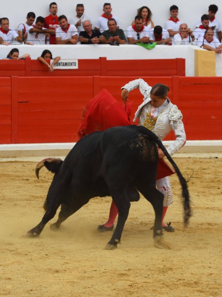 Fotos de la novillada del 1 de septiembre en Peralta