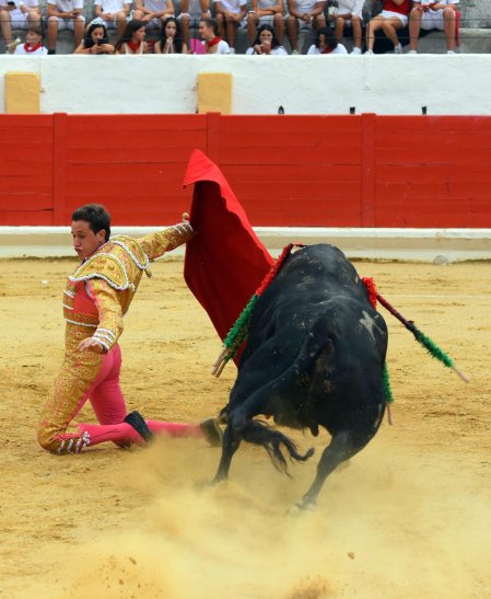 Novillada de fiestas de Peralta 2026 este sábado 5 de septiembre con toros de la ganadería de Juan Luis Fraile para los novilleros Mariscal Ruiz, Angelín y Julio Romero