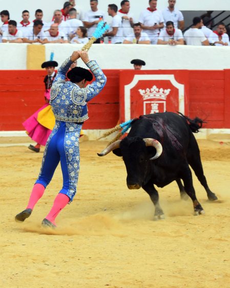 Novillada de fiestas de Peralta 2026 este sábado 5 de septiembre con toros de la ganadería de Juan Luis Fraile para los novilleros Mariscal Ruiz, Angelín y Julio Romero