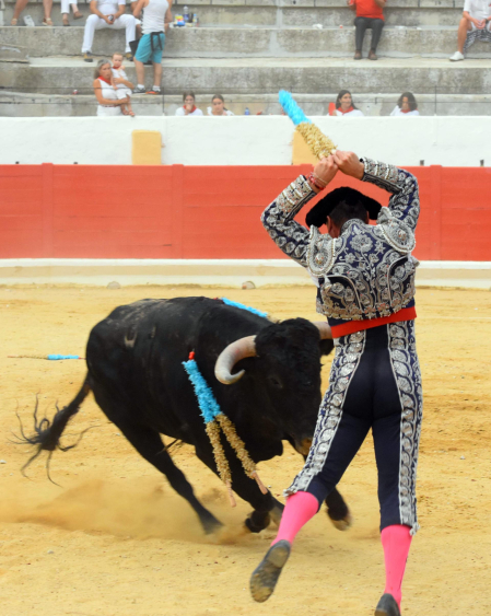 Novillada de fiestas de Peralta 2026 este sábado 5 de septiembre con toros de la ganadería de Juan Luis Fraile para los novilleros Mariscal Ruiz, Angelín y Julio Romero